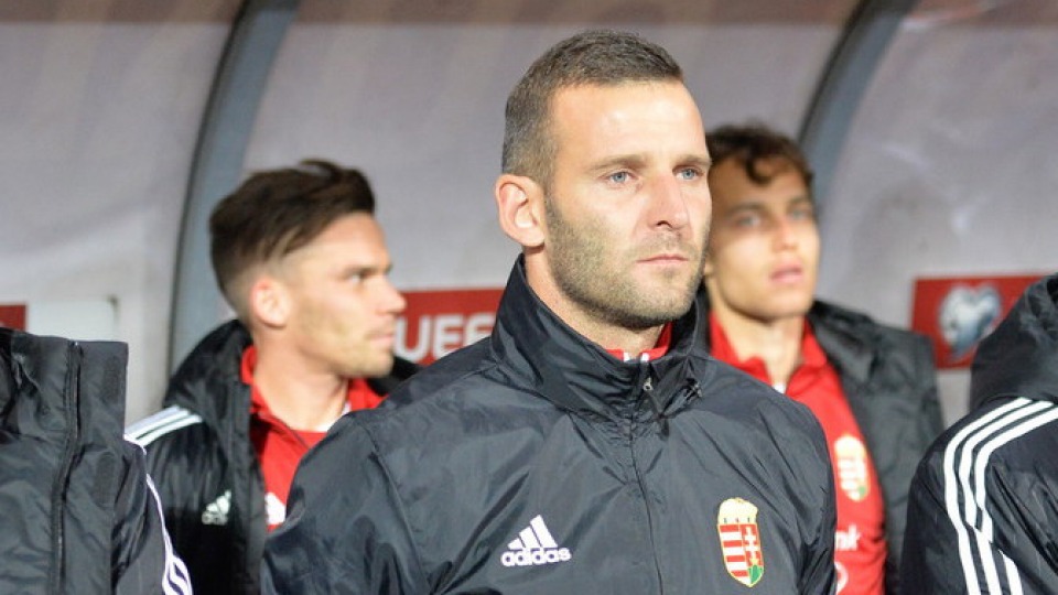 Zoltán Szélesi to lead national team in November