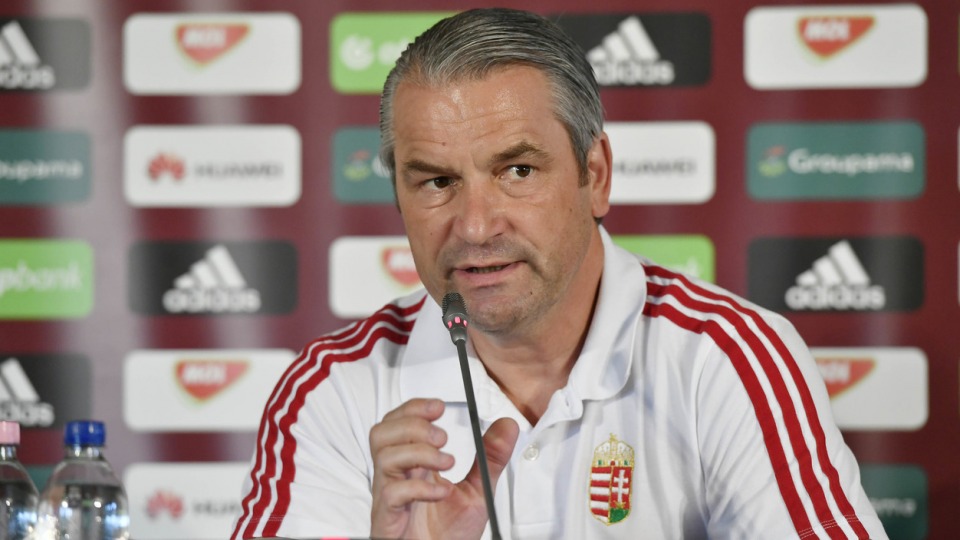 Bernd Storck leaves Hungary post by mutual consent