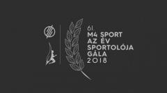 Journalists to vote for Hungarian footballers of 2018