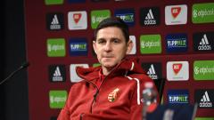 Zoltán Gera: This team was destined for victory