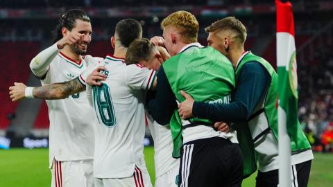 Schön strike sees off Slovenia